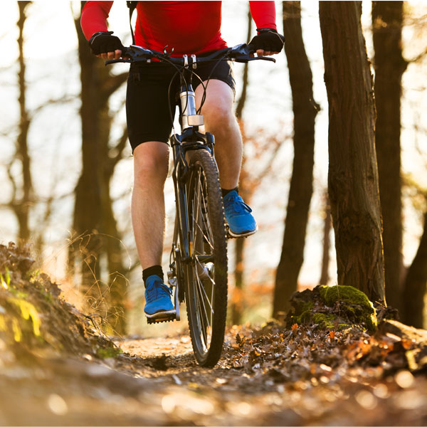 Leia mais sobre o artigo Seguro de bicicleta, tudo que você precisa saber!